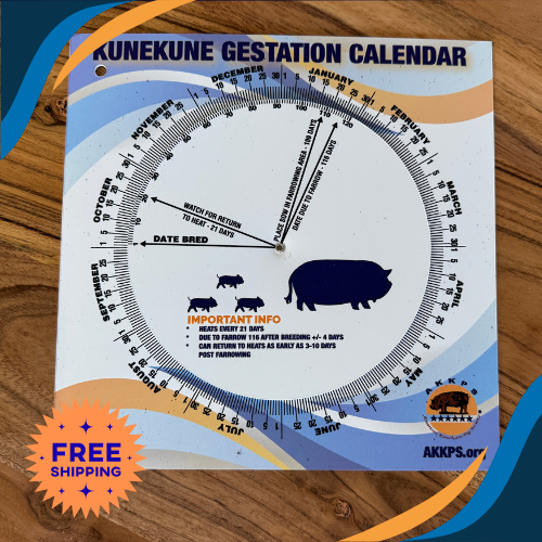 KuneKune Gestation Wheel (Vinyl)