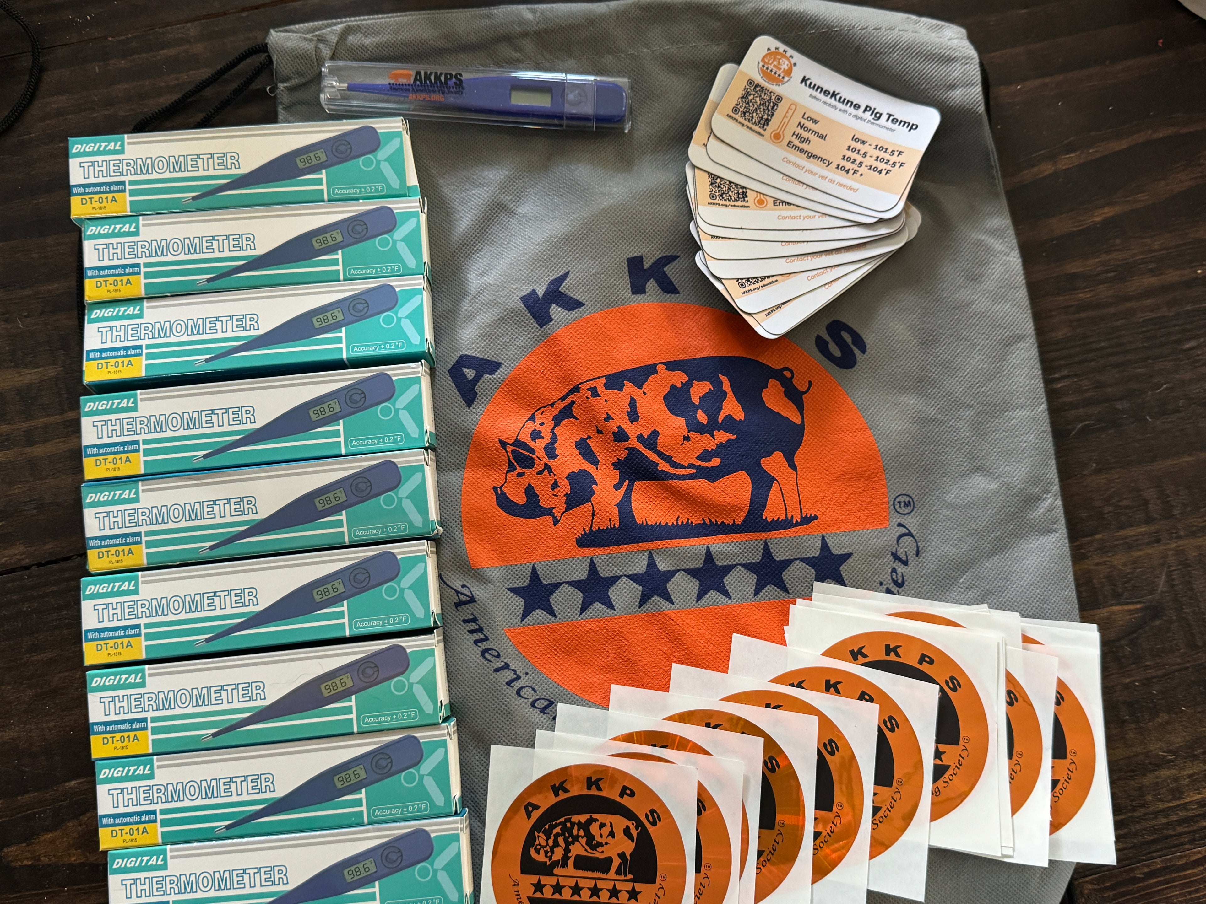 MEGA SWAG BAG - FREE SHIPPING